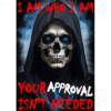 Your Approval Isn't Needed T-Shirt