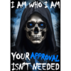 Your Approval Isn't Needed T-Shirt