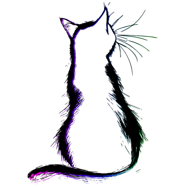 Rainbow Cat T-Shirt